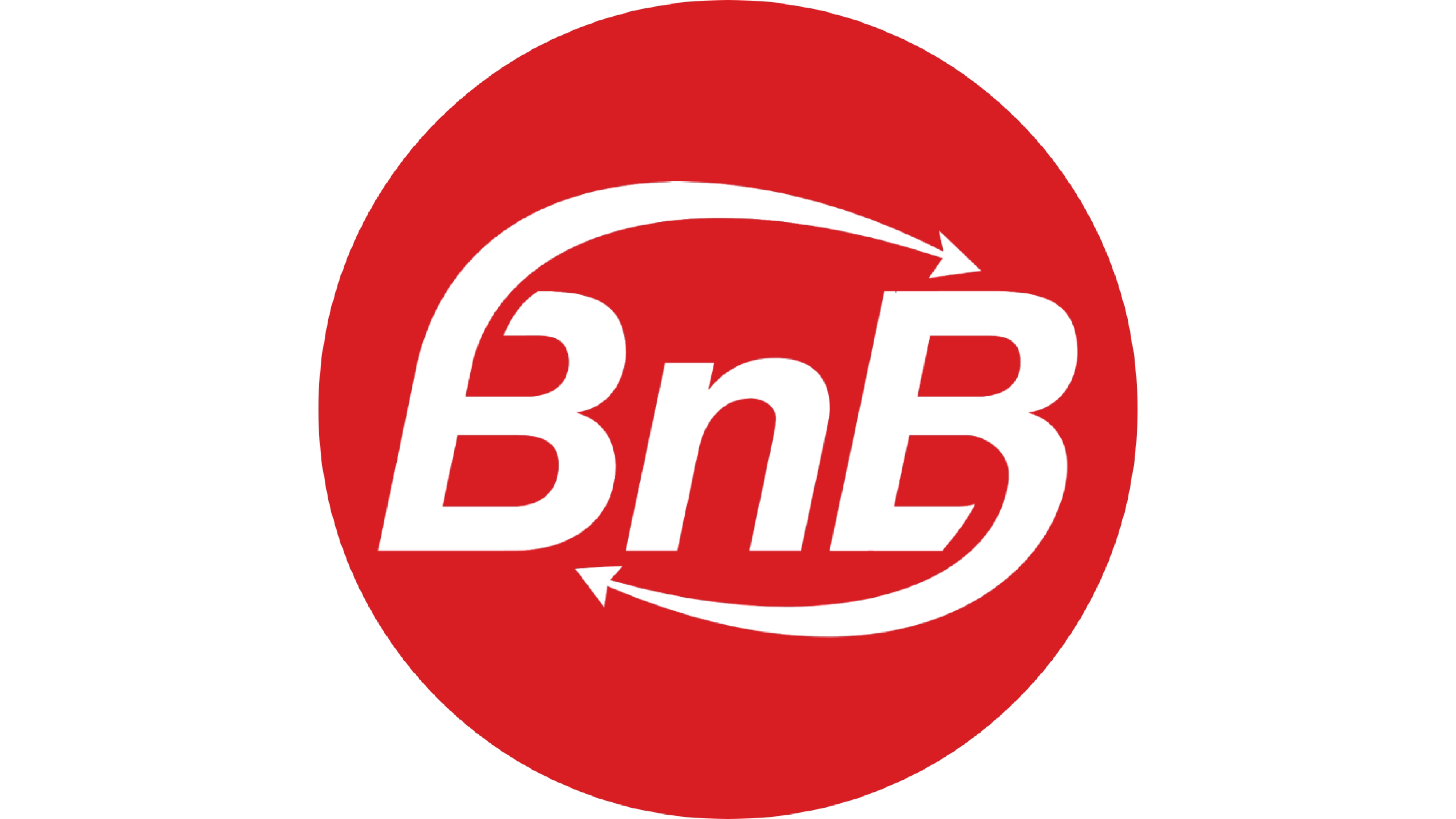 BnB logo NO BG - 1920x1080 (1)_page-0001